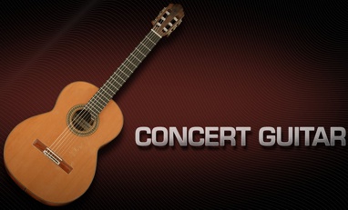 Concert Guitar X3.jpg