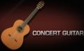 Concert Guitar X2.jpg