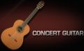 Concert Guitar X3.jpg